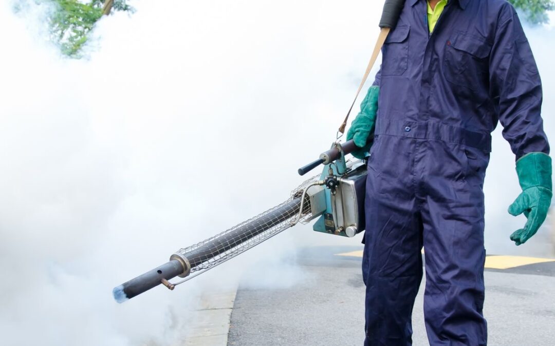 Comprehensive Fumigation and Pest Control Services by Spotless Cleaning Bee