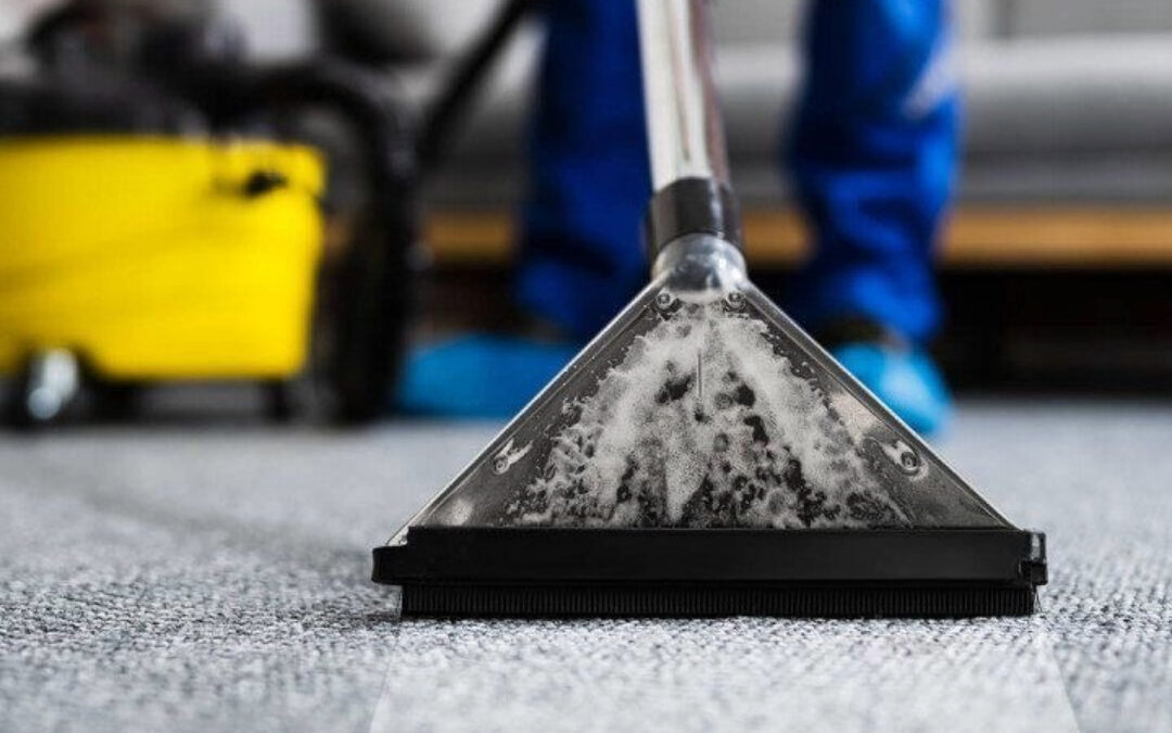 Upholstery / Carpet Cleaning, Care & Maintenance – By Spotless Cleaning Bee