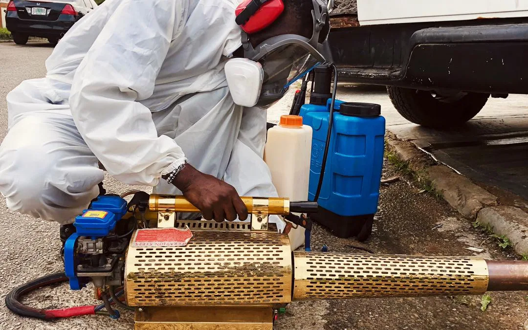 Why Fumigation Is a Must During the Rainy Season in Abuja.